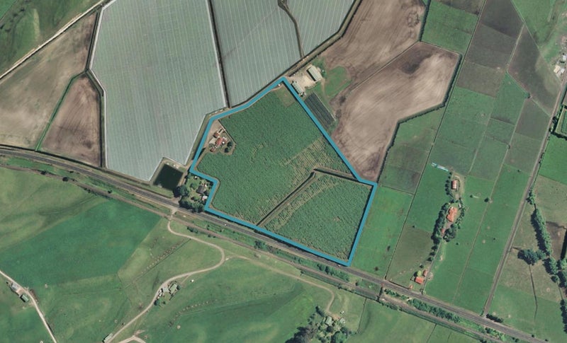 2081 State Highway 2, Te Puke - Carousel 1