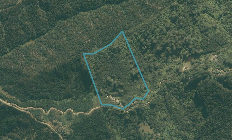 326 Smyth Road, Dome Forest, Warkworth - Carousel 1