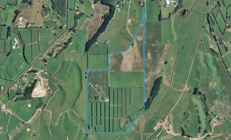918 Old Coach Road, Pongakawa, Te Puke - Carousel 1
