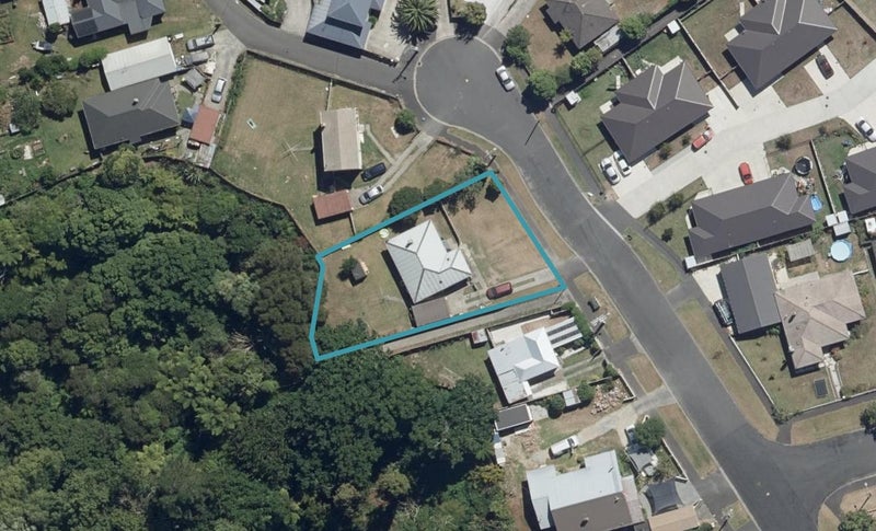 19 Balloch Street, Fairfield, Hamilton - Carousel 1