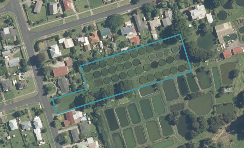 21 East Avenue, Te Aroha, Te Aroha - Carousel 1