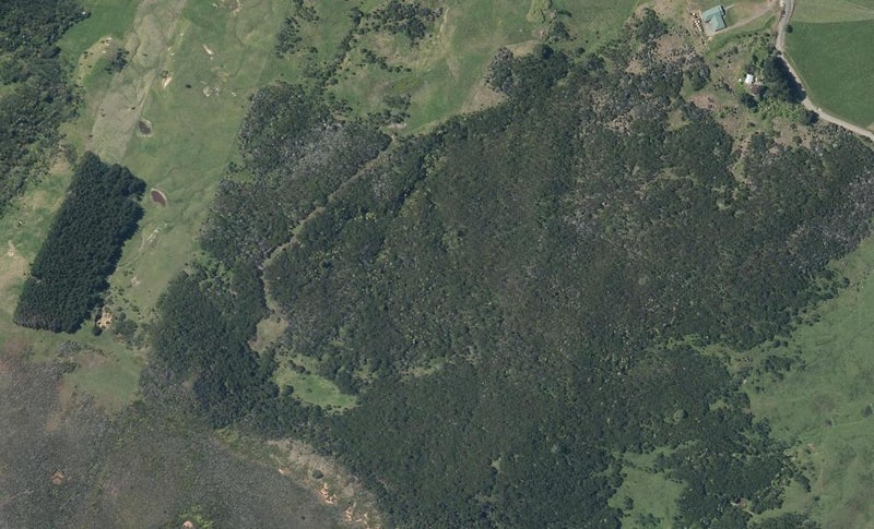 8 State Highway 12, WAIMAMAKU, KAIKOHE - Carousel 1
