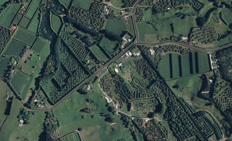 258 Kauri Point Road, Tahawai, Katikati - Carousel 1