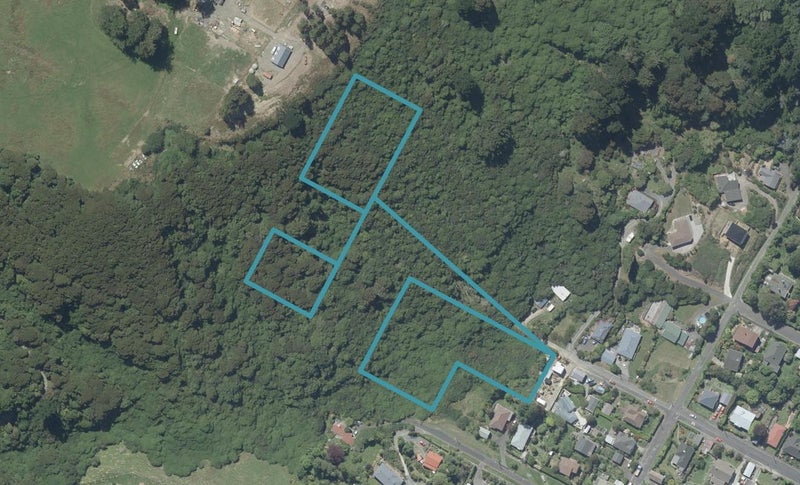 29 Korimako Street, Saint Leonards, Dunedin - Carousel 1