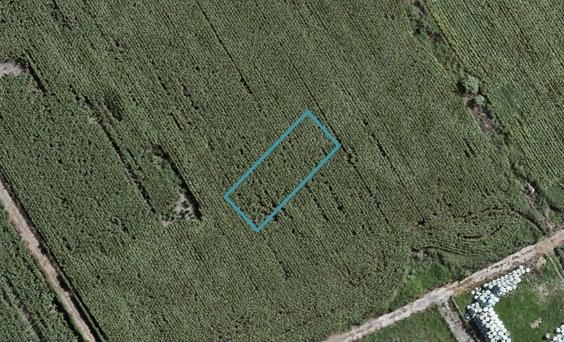 50 Kaitiaki Drive, Clarks Beach, Clarks Beach - Carousel 1