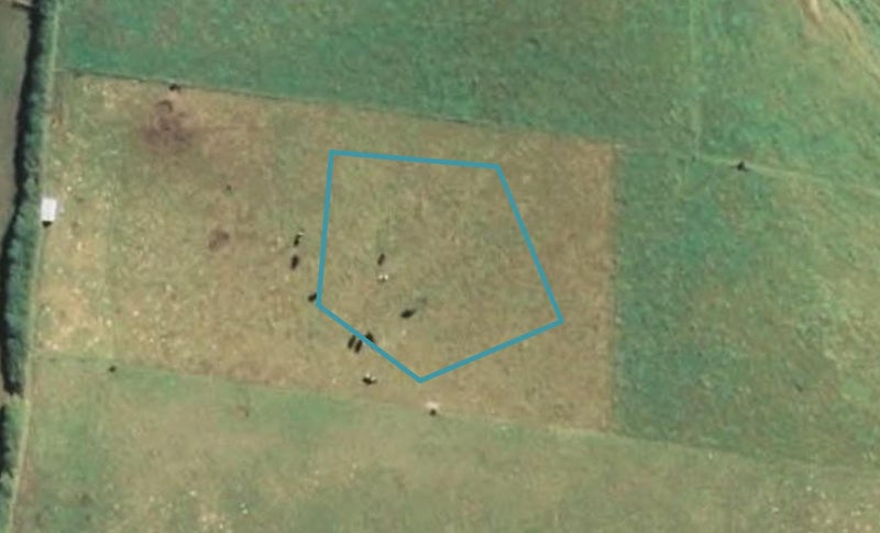 19 Harakeke Place, Hāwera - Carousel 1