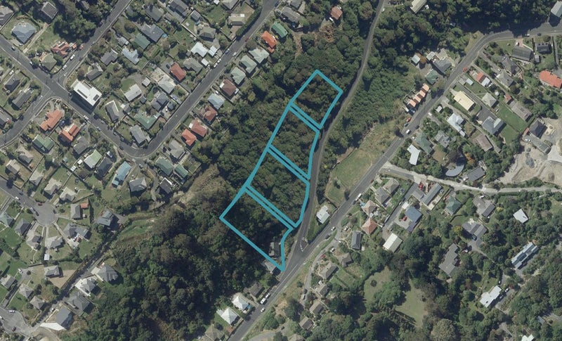 24A Archibald Street, Waverley, Dunedin - Carousel 1