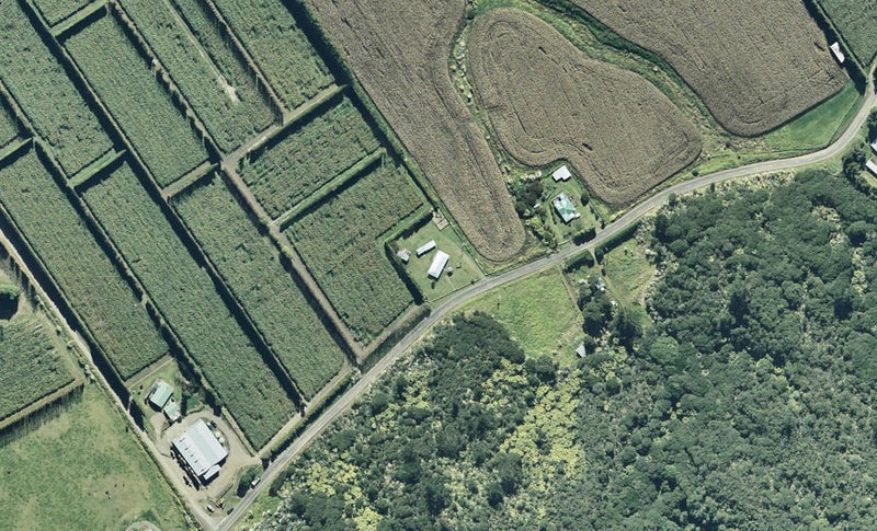 159 Copenhagen Road, Te Kaha, Te Kaha - Carousel 1