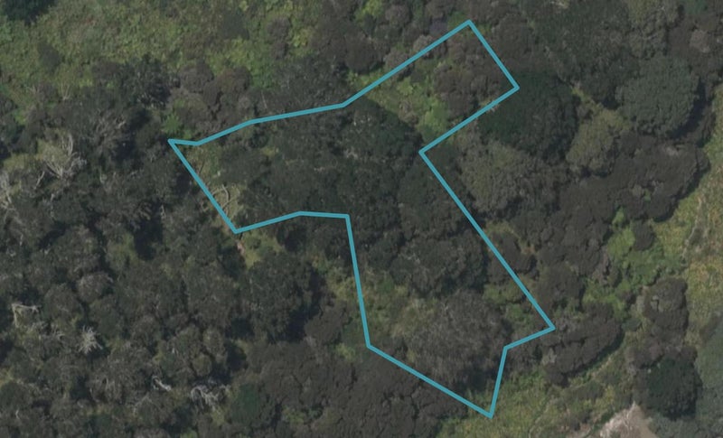 2 Sand Dune Lane, Mangawhai Heads, Mangawhai - Carousel 1
