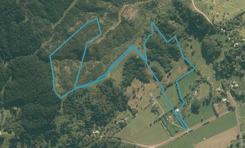 456 Kaipara Flats Road, Dome Forest, Warkworth - Carousel 1