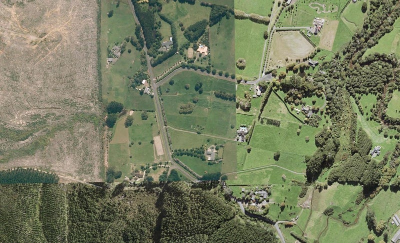 142 Mill Flat Road, Albany - Carousel 1