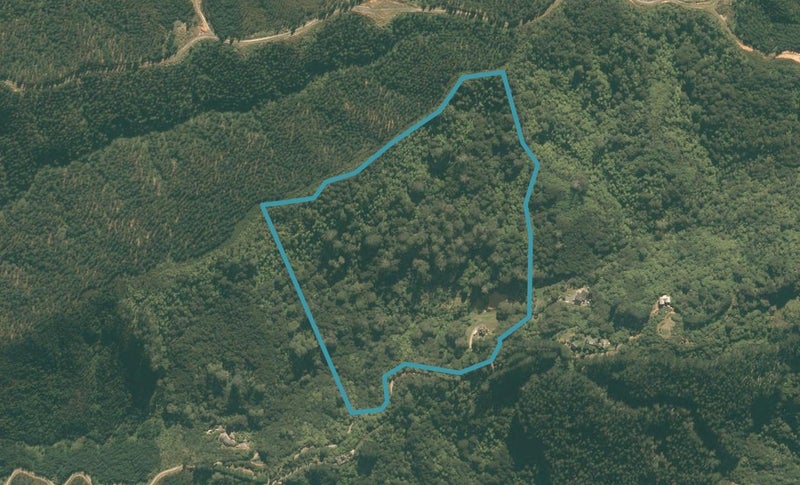 280 Smyth Road, Dome Forest, Warkworth - Carousel 1