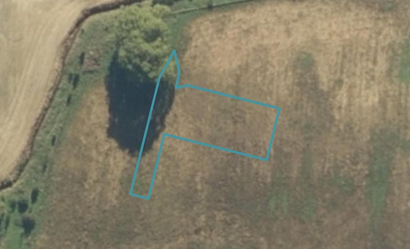 2 Pahautea Lane, Kihikihi, Te Awamutu - Carousel 1