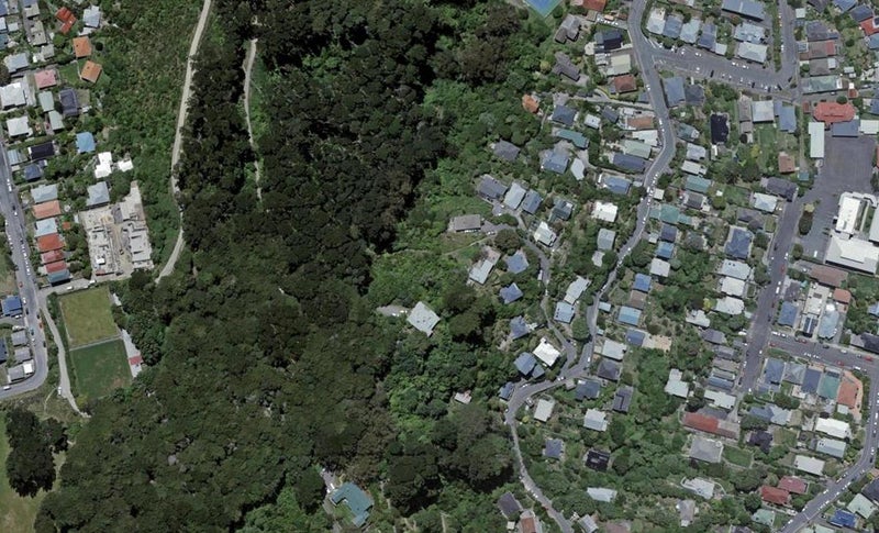 15 Kotinga Street, Kilbirnie, Wellington - Carousel 1