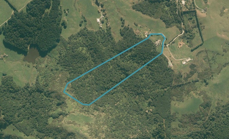 141 Dennis Road, Kaipara Flats, Warkworth - Carousel 1