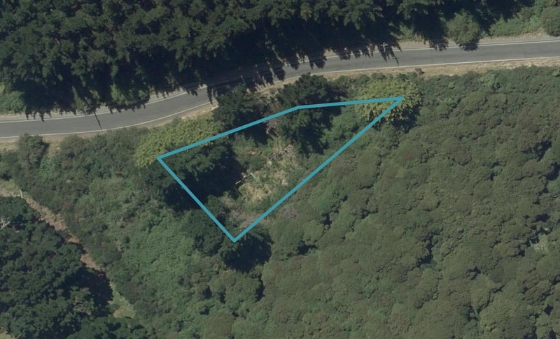 226 Signal Hill Road, Opoho, Dunedin - Carousel 1