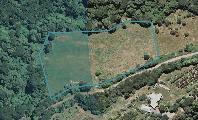 50 Jubilee Road, WAINUI, FRENCH FARM - Carousel 1