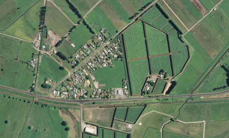 19 Penelope Place, Pongakawa, Te Puke - Carousel 1