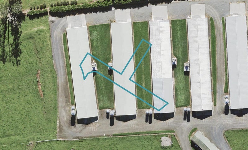 110 Hornbeam Road, Westgate, Auckland - Carousel 1