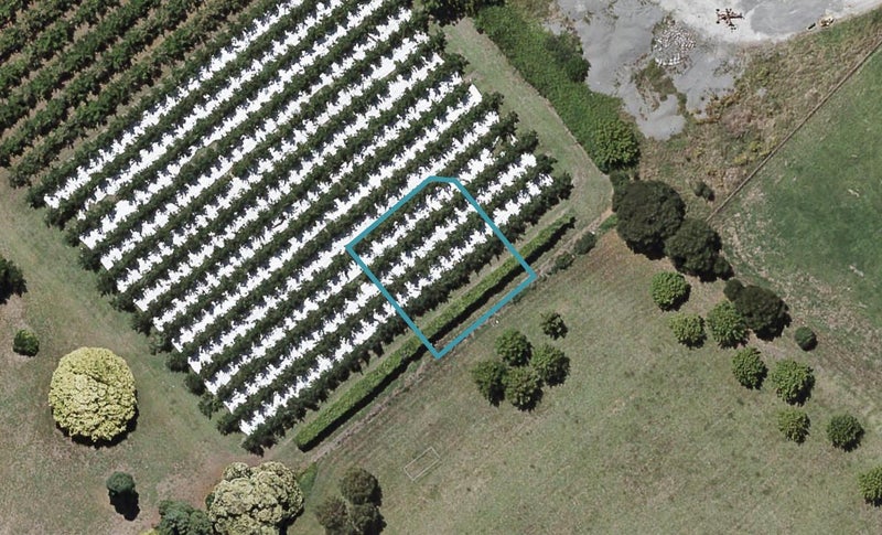 27 Te Ara Matipou, Frimley, Hastings - Carousel 1
