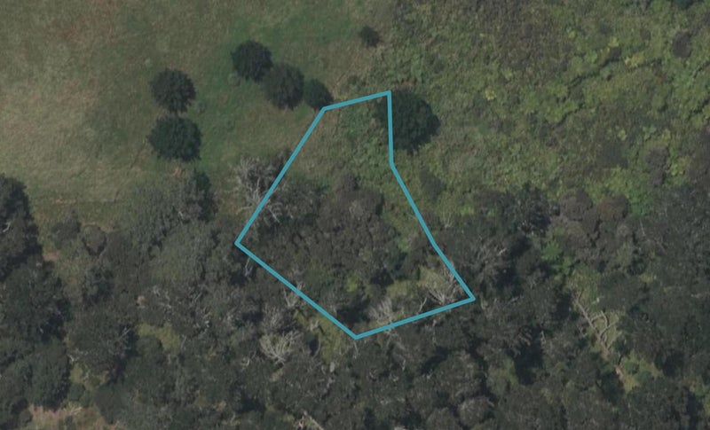 145 Estuary Drive, Mangawhai Heads, Mangawhai - Carousel 1