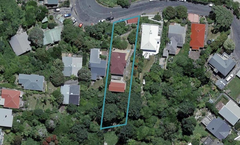 11A Balfour Street, Mornington, Wellington - Carousel 1