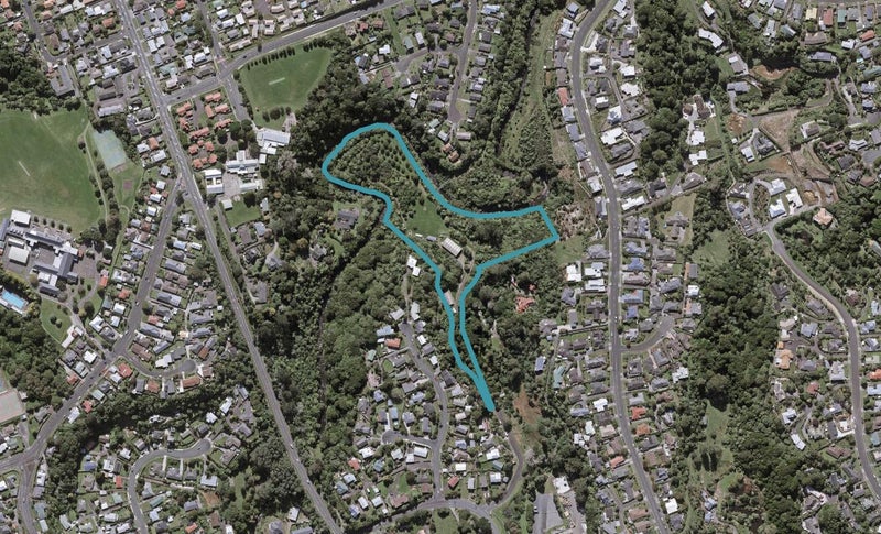 11A London Terrace, Welbourn, New Plymouth - Carousel 1