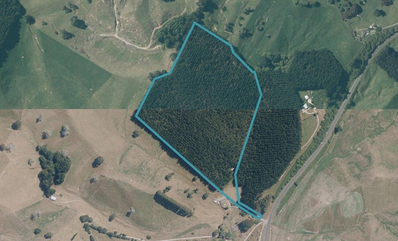 323 State Highway 5, Wairakei, Taupo - Carousel 1