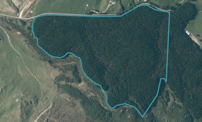 272 Hingarae Road, TIHOI, TAUPO - Carousel 1
