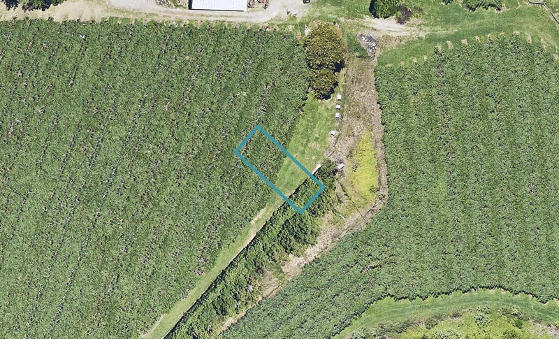 37 Huriana Crescent, Te Puke, Te Puke - Carousel 1