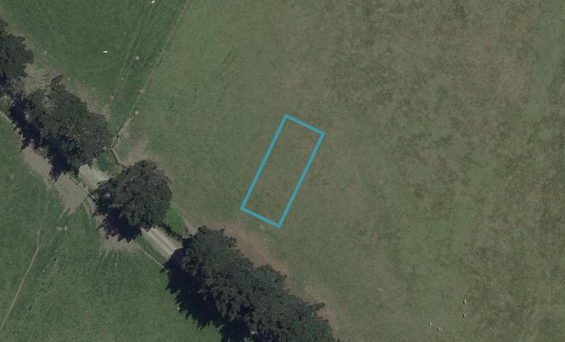 19 Bill Hammond Drive, Belfast, Christchurch - Carousel 1