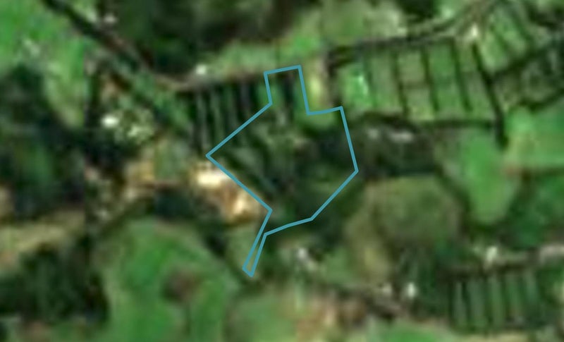 363 Puketotara Road, Waipapa, Kerikeri - Carousel 1