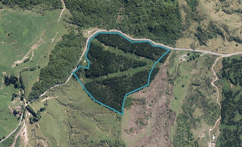 239 Kaitieke Road, Raurimu, Ōwhango - Carousel 1