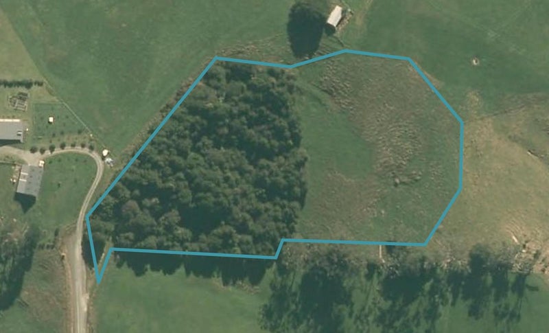 112 Edgerley Road, Kaipara Flats, Warkworth - Carousel 1