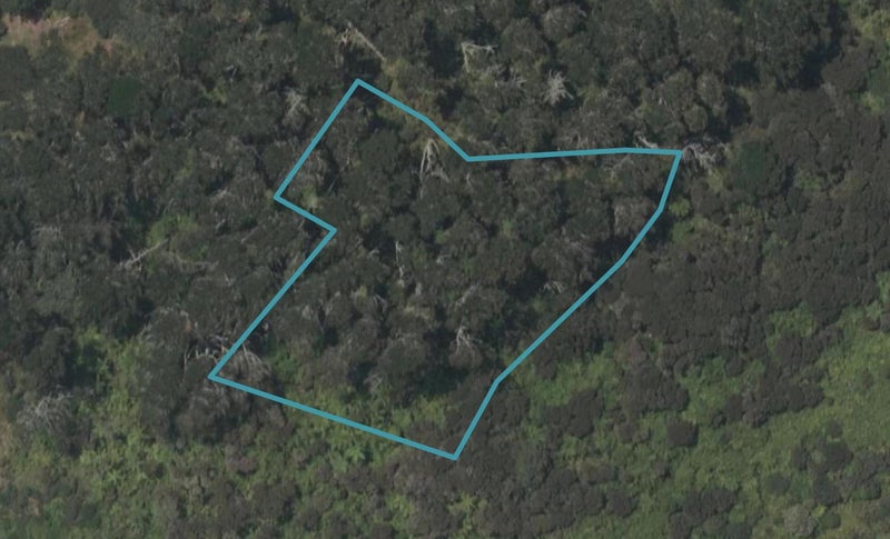 1 Horizon View Place, Mangawhai Heads, Mangawhai - Carousel 1