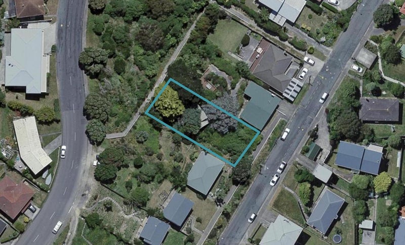 99 Miramar North Road, Miramar, Wellington - Carousel 1