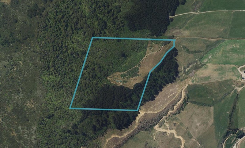 102 Cullensville Road, Picton - Carousel 1