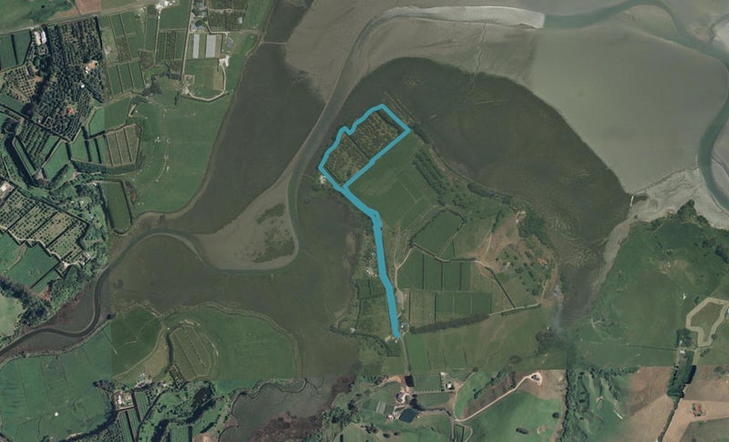 196C Stewart Road, Whakamarama, Whakamārama - Carousel 1