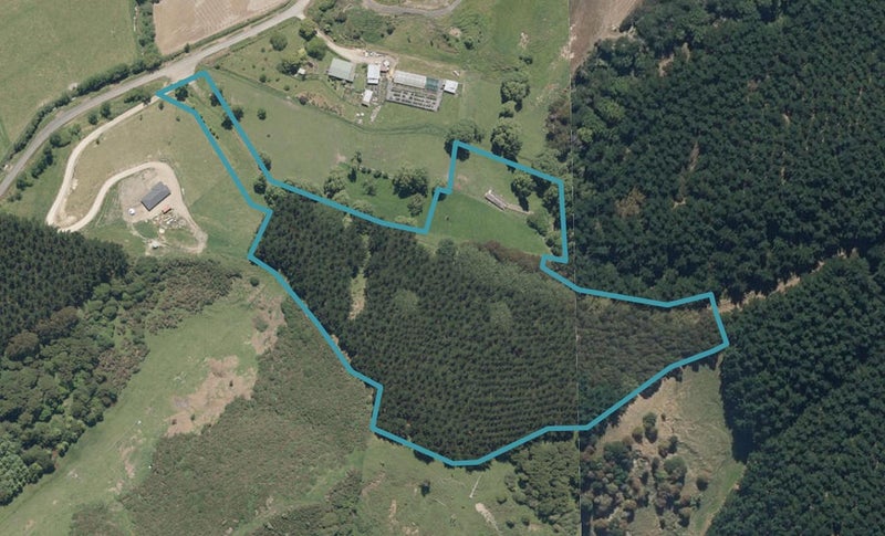 62 Kaukatea Valley Road, Okoia, Whanganui - Carousel 1
