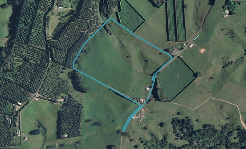 38A Castlegrace Drive, Tahawai, Katikati - Carousel 1