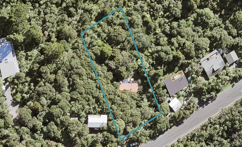 168 Piha Road, Piha - Carousel 1