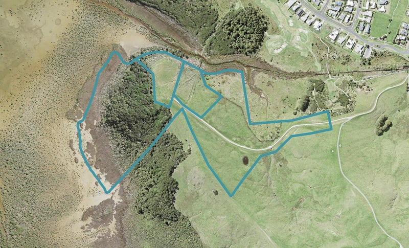 0 Mangatawhiri Road, Tawharanui Peninsula, Matakana - Carousel 1