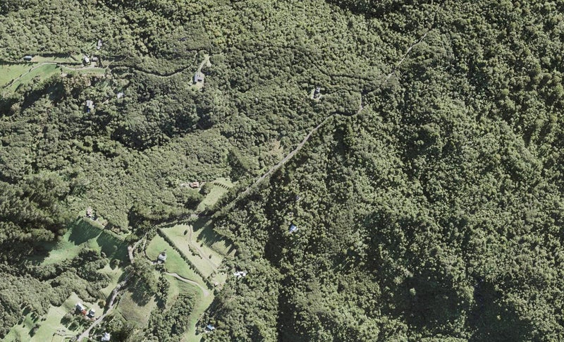 199 Lone Kauri Road, Karekare, Auckland - Carousel 1