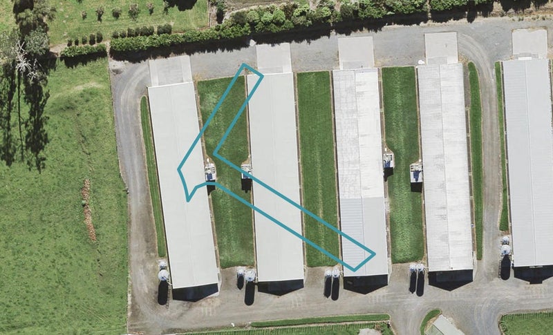 118 Hornbeam Road, Westgate, Auckland - Carousel 1