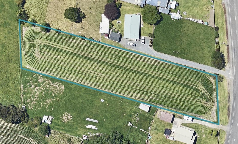 113 Keepa Road, Coastlands, Whakatane - Carousel 1