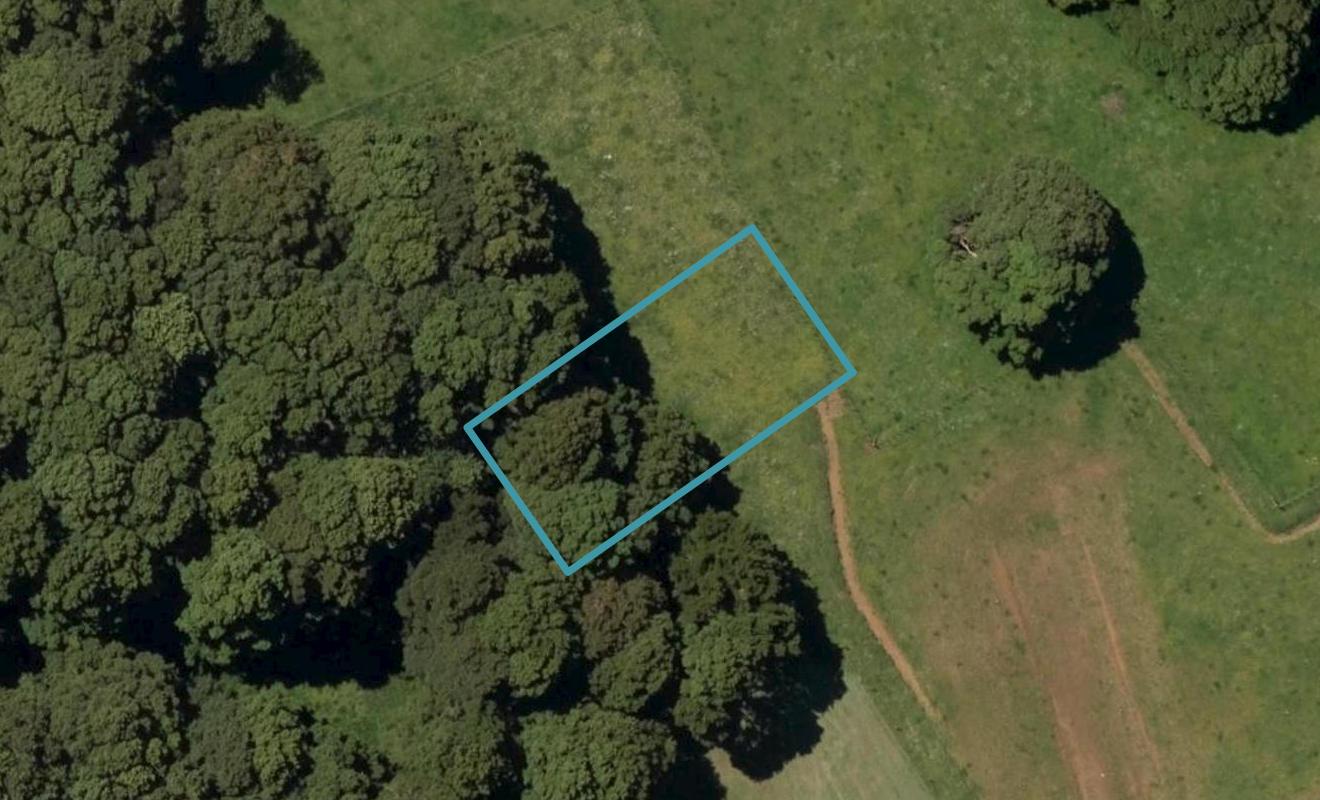 31 Wainui Avenue, Kamo, Whangarei - Carousel 1
