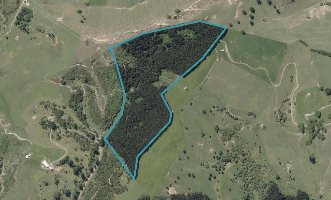 0 Delhi Avenue, Papaiti, WHANGANUI - Carousel 1
