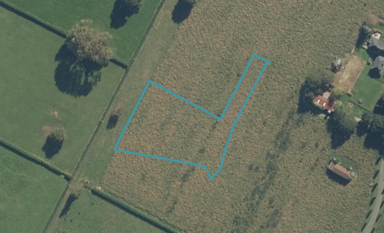 8 Maea Lane, Matamata, Matamata - Carousel 1