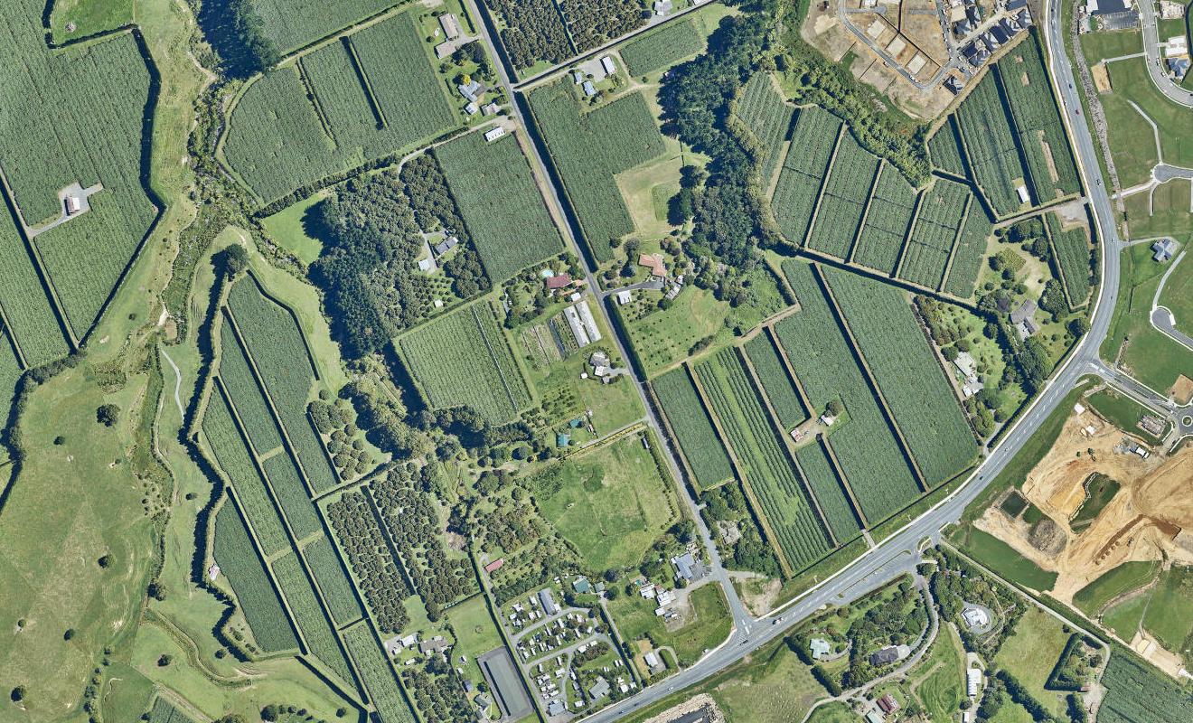 29 Prole Road, Omokoroa, Tauranga - Carousel 1