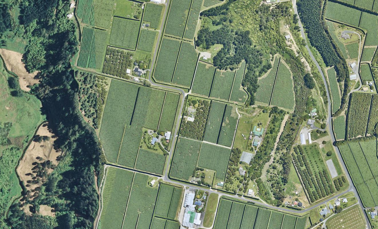 86 Griffin Road, Omanawa, Tauranga - Carousel 1
